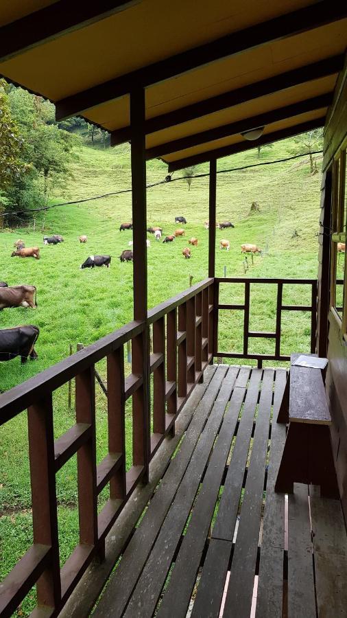 Finca Terra Viva Monteverde ภายนอก รูปภาพ