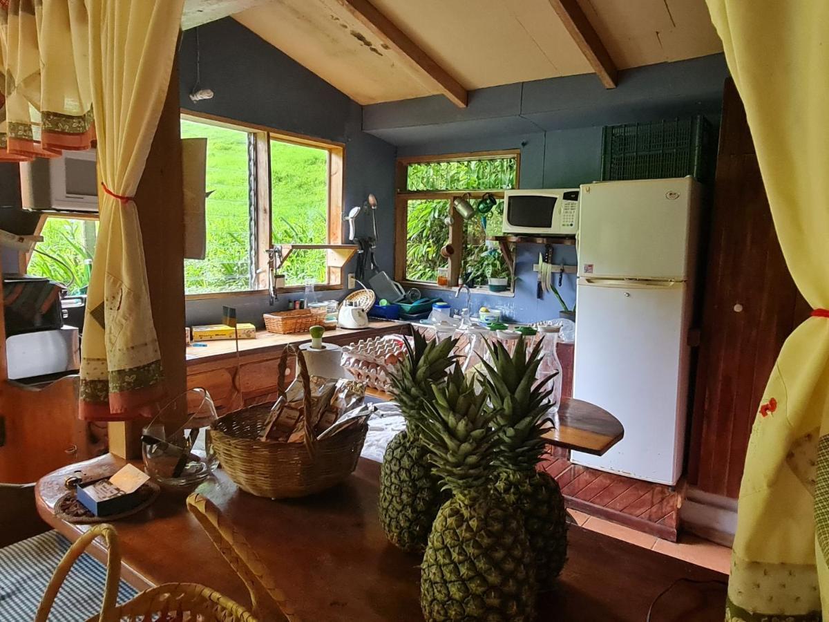 Finca Terra Viva Monteverde ภายนอก รูปภาพ